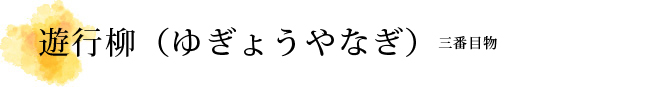 遊行柳（ゆぎょうやなぎ）解説