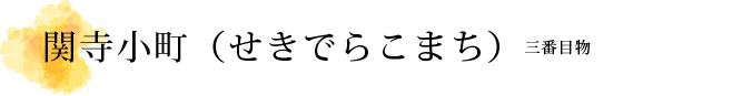 関寺小町（せきでらこまち）解説