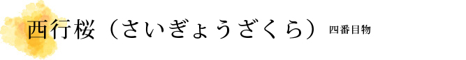 西行桜（さいぎょうざくら）解説